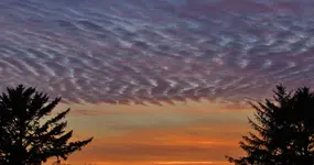 5-21 sunset 005.webp
