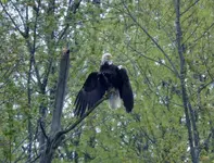 DSCN2026.webp
