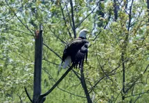 K1600_DSCN2034.webp