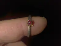 IMAG1029.webp IMAG1029.webp