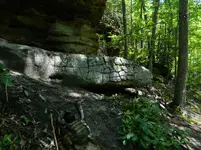 DSCN9454.webp