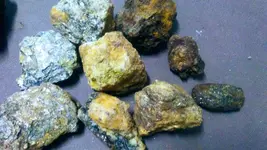 20170514_094543.webp 20170514_094543.webp