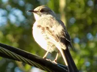 DSCN0024.webp