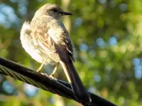 DSCN0025.webp