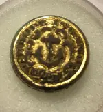 Rhode Island Button.webp