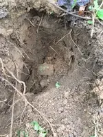 Plate in the Hole.webp