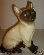 Cat.webp