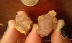 20170627_120247.webp