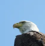 DSCN2243.webp