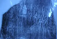 leatherPmap.webp