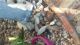 20170507_185308_Burst01.webp