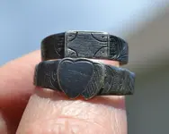 dans rings.webp