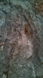 IMG_20170423_111423_148.webp IMG_20170423_111423_148.webp