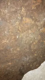 IMG_20170423_111612_776.webp IMG_20170423_111612_776.webp