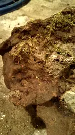 IMG_20170428_232215_279.webp IMG_20170428_232215_279.webp
