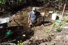 DSCF1383.webp