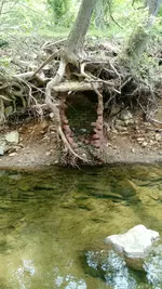 bricks.webp