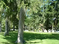 DSCF0008.webp