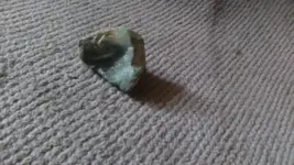KIMG0056.webp KIMG0056.webp