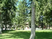 DSCF0012.webp
