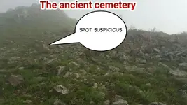 431715619_38459.webp