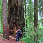 stout grove 011.webp