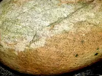 DSCN6112.webp