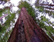 stout grove 015.webp
