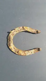 Horseshoe.webp