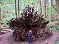 stout grove 062.webp