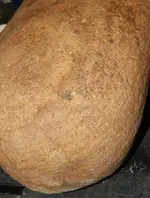 DSCN6115.webp