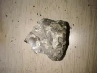 unnamed (10).webp