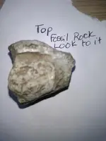 unnamed (11).webp