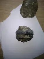 unnamed (13).webp