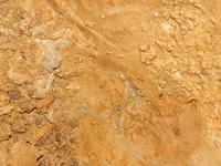 DSCN6056.webp