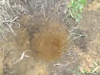 DSCN6057.webp