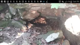 Screenshot_2017-06-27-19-42-06.webp