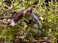 DSCN0301.webp