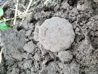 20170529_183328.webp