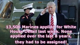 Marines applied.jpg