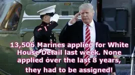 Marines applied.webp
