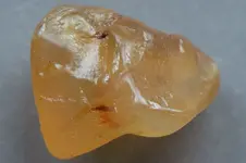 Agate-2017-04-29-Img_3959SSS.webp