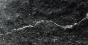 crackwhite3.webp