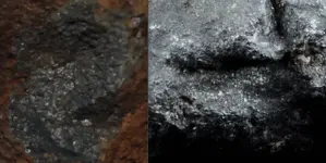 Texture.webp