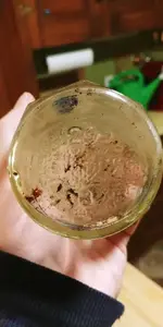 20170515_215412.webp