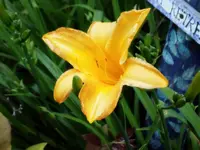 DSCN0062_1200.webp