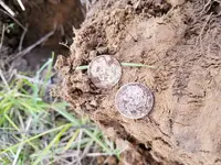 20170627_195056.webp