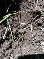 IMG_20170625_124536.webp