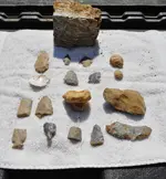 DSCN0258.webp