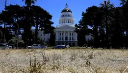 brown_grass_at_California_state_capitol_-_Google_Search.webp